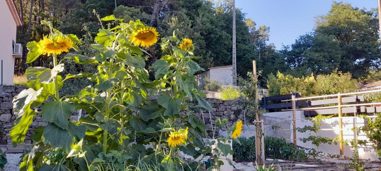Bed and Breakfast Kassanos "La Garenne" Privas Zewnętrze zdjęcie